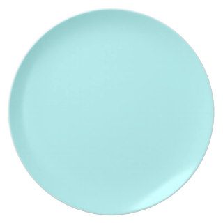 Neon Light Blue High Quality Colored Dinner Plate