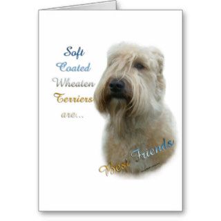Soft Coated Wheaten Terrier Best Friend 2 Greeting Cards