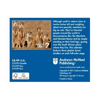Meerkats 2012 Mini Day to Day Calendar LLC Andrews McMeel Publishing, Tamara Haus 9781449406042 Books