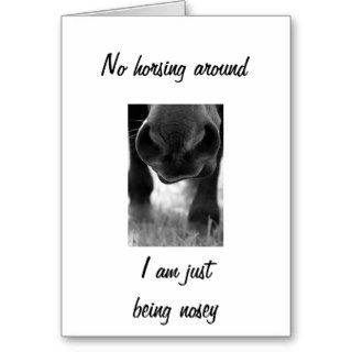 NO HORSING AROUND BEING NOSEY "50th BIRTHDAY" Greeting Cards