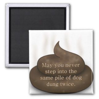 Bathroom Blessing Don't Step in Poop Twice Fridge Magnets