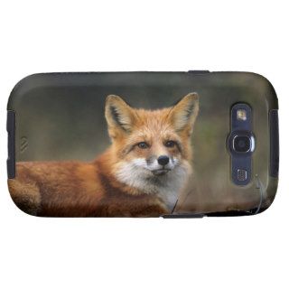 Red Fox in a Trap during Wolf Research Project, La Samsung Galaxy S3 Cover