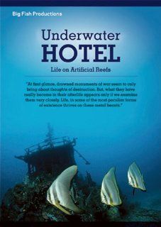 Underwater Hotel Life On Artificial Reefs Leon Tabla Movies & TV