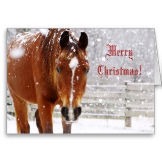 Winter Blizzard Horse Christmas Greeting Card
