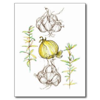 Rosemary Herb Garlic Onion Kitchen Art Drawing Post Cards