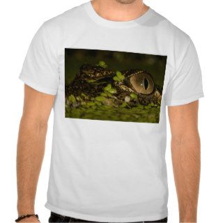 Nile crocodile Gator Alley T shirt