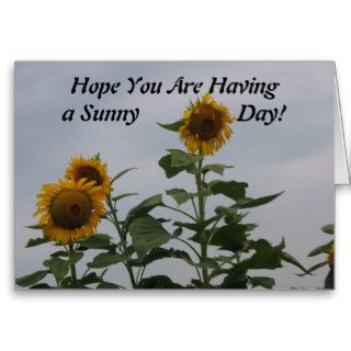 Hope You Are Having a Sunny Day Note Card