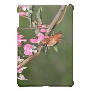 Hummingbird and Flowers Picture iPad Mini Cover
