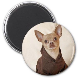 Sweet Silly Chihuahua Magnet