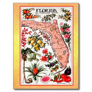 State Map of Florida (vintage reprint) Post Card