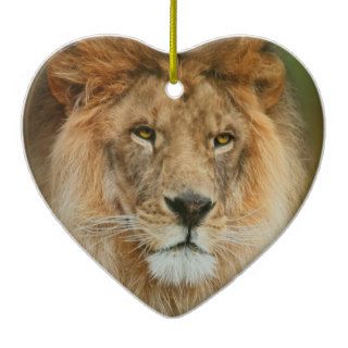 A Majestic lion Christmas Tree Ornament