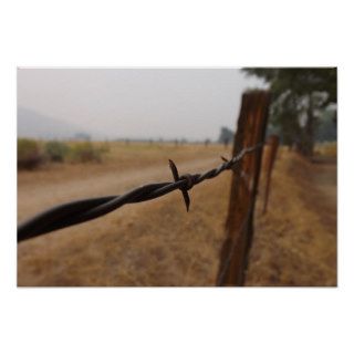 Barb Wire Fence Poster