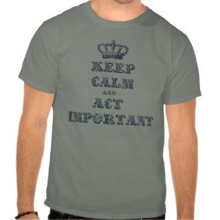 Keep Calm And Act Important Funny Design 2 T shirt