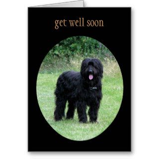 Briard dog get well soon greetings card