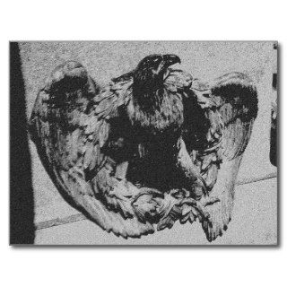 Black And White Eagle Post Cards