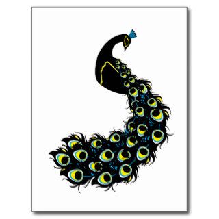 Beautiful peacock with large feathers postcard