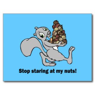 Funny nuts squirrel postcards