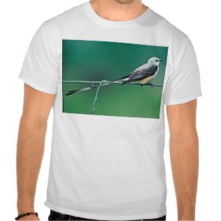 Scissor tailed flycatcher t shirt