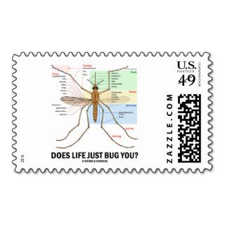 Does Life Just Bug You? (Mosquito Anatomy) Postage