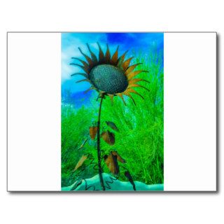 Metal Art Sunflower Colorful Background Post Cards
