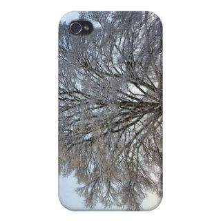 Snow ed Oak Tree iPhone 4 Case