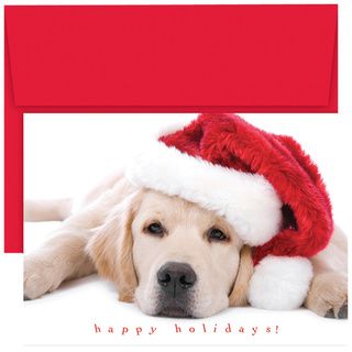 Santa Puppy Boxed Holiday Cards Hortense B. Hewitt Stationery & Pens