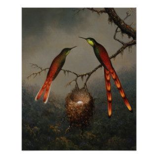 Two Hummingbirds Guarding an Egg Nest by Martin Poster