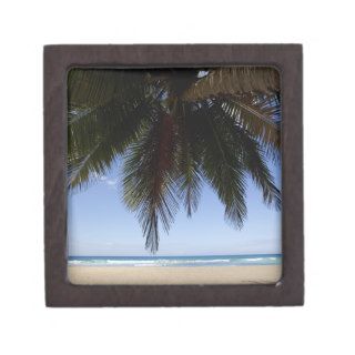 Palm tree along Caribbean Sea. Premium Jewelry Boxes