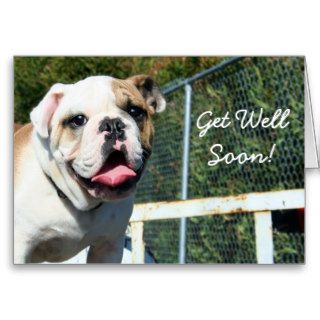 Get well soon bulldog greeting card