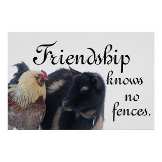 FRIENDSHIP KNOWS NO FENCES   GOAT   ROOSTER PRINT