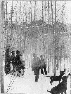 Photo Theodore Roosevelt, Alexander Lambert, Hunting, dogs, ready to shoot, July 19, c1905   Prints