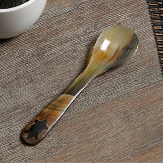 Rustic Design Serving Spoon (India) Specialty Tools