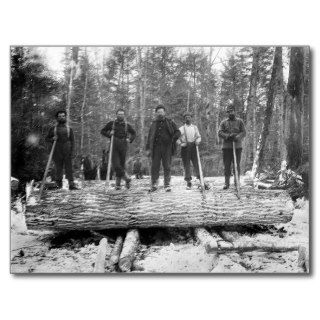 Portrait of Loggers, 1890 Post Card