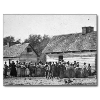Freed Slaves J J Smith Plantation South Carolina Post Card