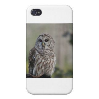 barn owl night bird of prey cover for iPhone 4