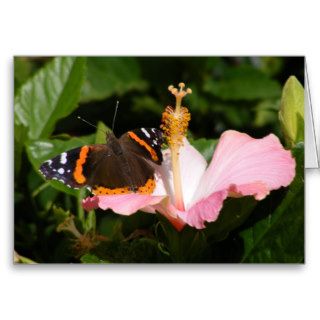 Red Admiral on Hibiscus Card