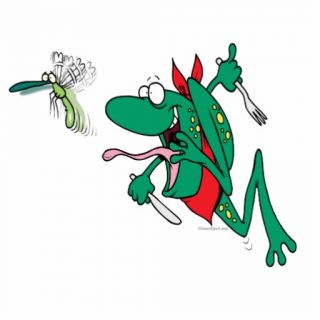 funny hungry frog chasing bug cartoon cut outs