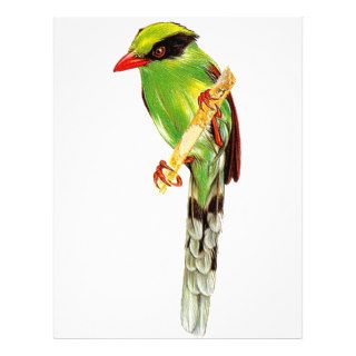 Magpie Green Magpie Bird Full Color Flyer