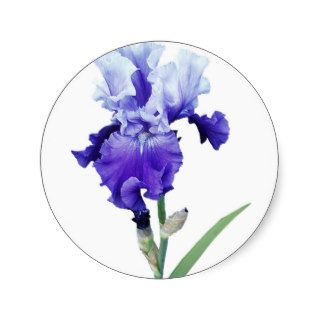 purple iris sticker