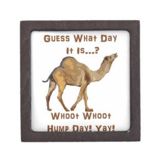 Its Hump Day Premium Jewelry Boxes