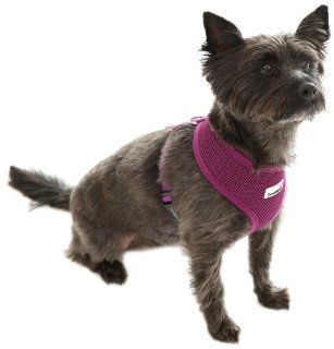 Doodlebone Dog Harness   Purple Small  Pet Halter Harnesses 