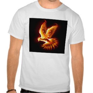 Phoenix T Shirts