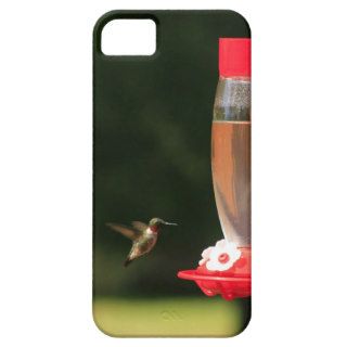 Hummingbird Case For iPhone 5/5S