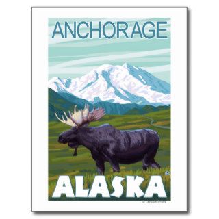 Moose Scene   Anchorage, Alaska Postcards