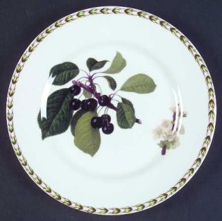 Rosina Queens HookerS Fruit(Fine China,Made In India) Salad/Dessert Plate, Fine