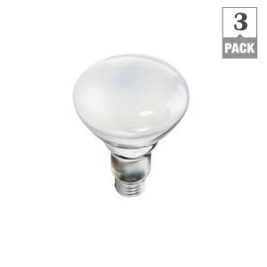 Philips 65 Watt Incandescent BR30 Indoor Flood Light Bulb (3 Pack) 429472