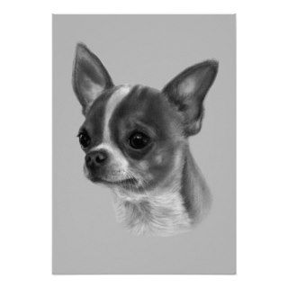 Chihuahua Drawing Posters
