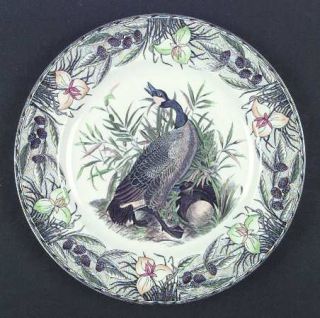 Adams China Birds Of America (Floral Bdr) Dinner Plate, Fine China Dinnerware  