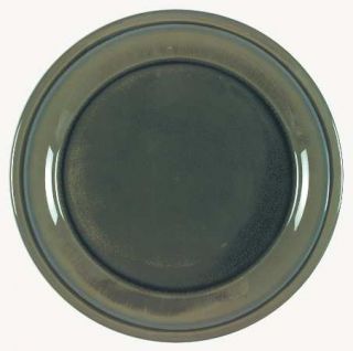 Interiors (PTS) Prairie Balsam Green Dinner Plate, Fine China Dinnerware   Blue/