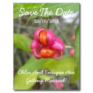 Pink Spindle Fruit Personalized Save The Date Post Cards